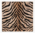 Savannah Stripe Safari Club mat (my casita)